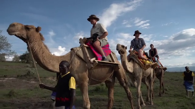 Metodă neobișnuită pentru a aduce turiștii mai aproape de natură. Reprezentanții unui parc au înlocuit mașinile cu cămile