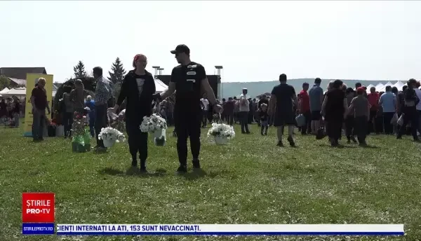 Mușcatele, petuniile și crăițele au făcut senzație la un târg din Mureș
