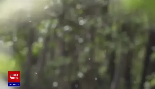 Satul Sibiel, locul unde aromele mâncărurilor tradiționale vin la pachet cu acordurile unui violoncel