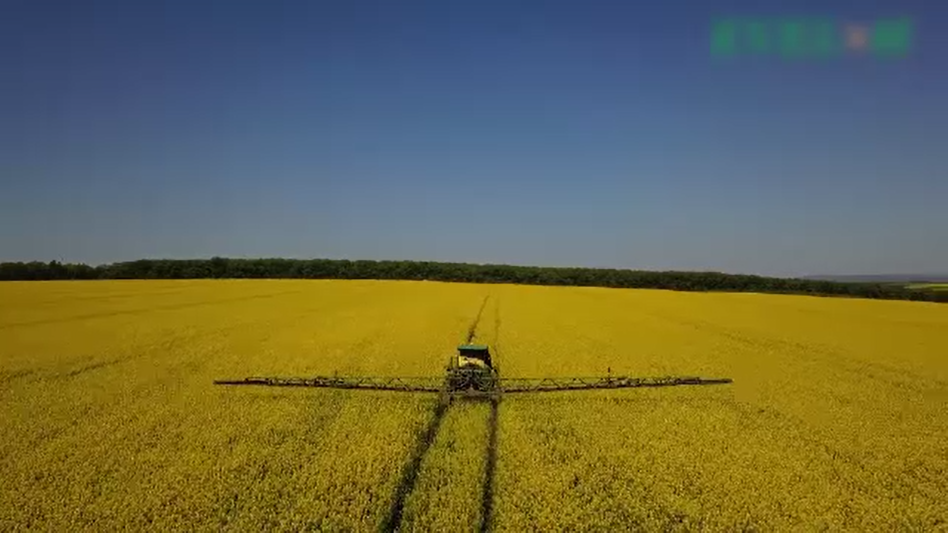 Statul vrea să învețe tinerii să facă agricultură. „În Europa, 90% din managerii de fermă pe studii sunt copii de fermieri”