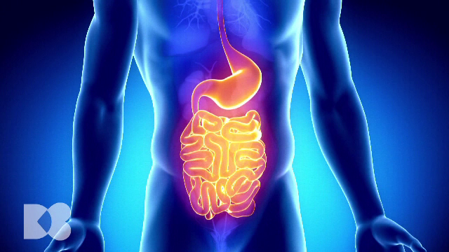 Doctor de bine. Emisiunea integrală din 11 septembrie 2022