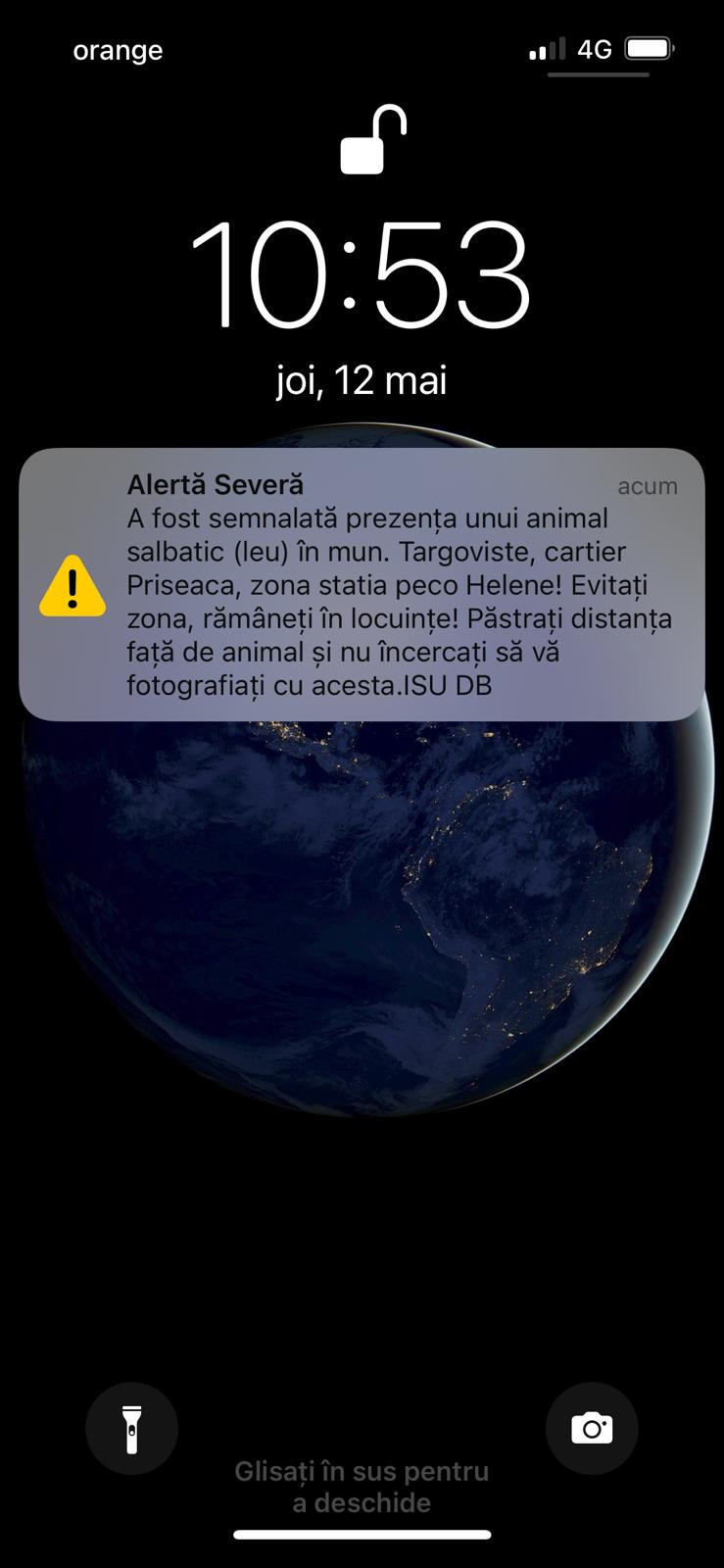 Un leu umblă liber prin Târgoviște. Cel puțin doi oameni au sunat la 112 și au susținut că au văzut sălbăticiunea