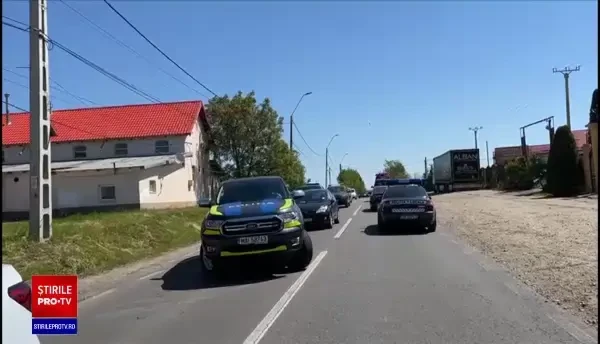 Un leu umblă liber prin Târgoviște. Cel puțin doi oameni au sunat la 112 și au susținut că au văzut sălbăticiunea