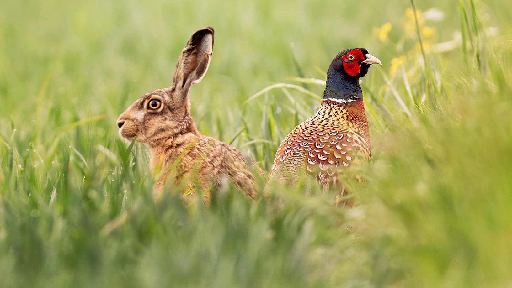 Fotograful Rareș Besliu, invitat la iLikeIT. Care este secretul obținerii unei imagini deosebite