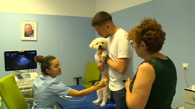Porți deschise la Universitatea de Medicină Veterinară Bucureşti. Sfaturi pentru posesorii de animale