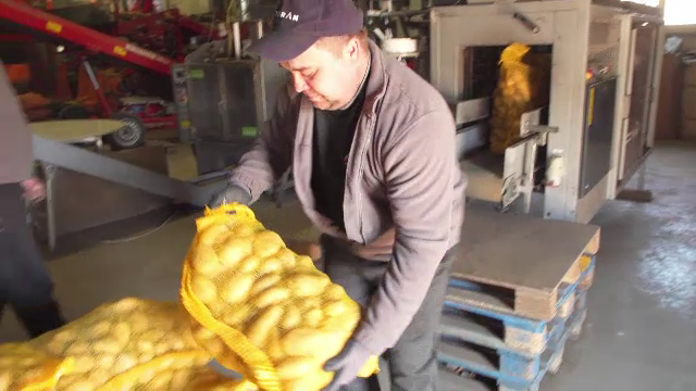 Siguranța alimentară a României, amenințată de războiul din Ucraina. Ce investiții se fac în agricultură