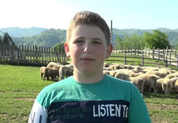 Copiii care iau vacanță mai devreme cu o lună pentru a pleca în transhumanță alături de părinții lor