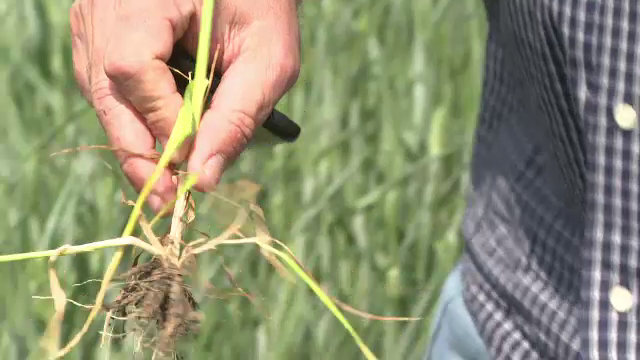 Arșița severă face ravagii în India. Ce spun specialiștii despre fenomenele meteo extreme