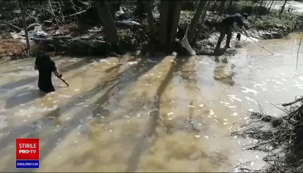 Furtunile au făcut prăpăd în mai multe județe. O femeie din Dolj a fost salvată în ultima clipă din calea apelor