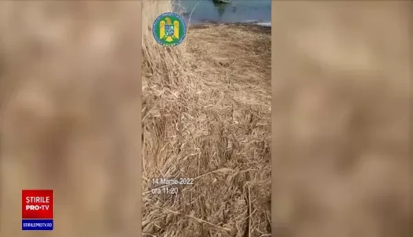 Vânătoare de braconieri pe toate cursurile de apă din țară. Voluntarii și inspectorii de mediu trag un semnal de alarmă