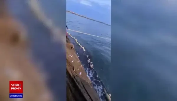 Capturi-record pentru pescari în Marea Neagră. Fenomenul care a cauzat înmulțirea peștilor