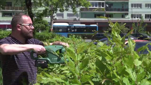 În Sibiu, locatarii blocurilor își dedică timpul liber grădinăritului. Programul prin care primesc unelte moderne gratis