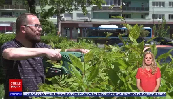 Un ONG din Sibiu îi sprijină pe oameni să își amenajeze spațiile verzi din jurul blocurilor