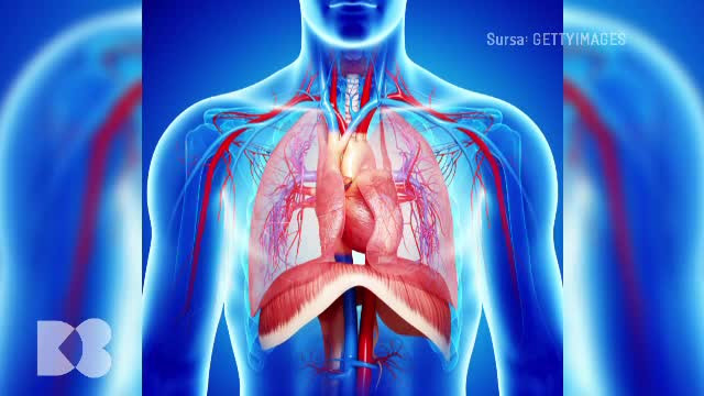 Fumul de țigară scade producția formei active de vitamina D și afectează simultan receptorii substanței