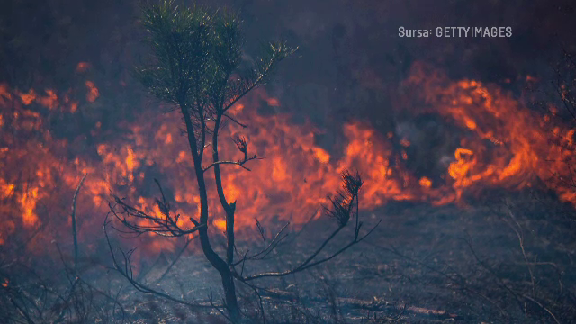Norul de fum ridicat deasupra Ucrainei, în urma incendiului din zona Cernobîl, se îndreaptă spre Rusia