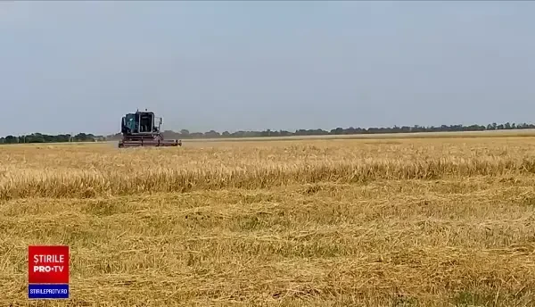 Oficial WFP: Eșecul deblocării porturilor din regiunea Odesa va duce la foamete