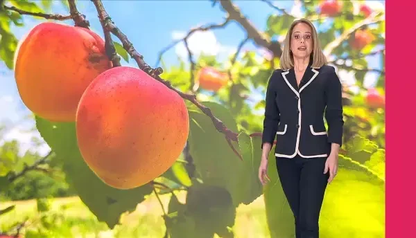 Fructele şi legumele ne fac mai puternici imunitar. Fibrele din ele ajută sistemul respirator, digestiv și reduc inflamația