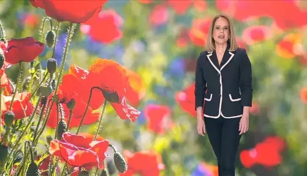 Sinteza vitaminei D, mișcarea și fibrele musculare. Ce legătură există între ele