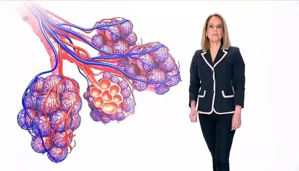 Zahărul în cantitate mare în sânge deranjează toate celulele sistemului imunitar