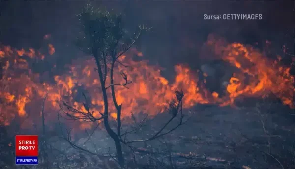 Norul de fum ridicat deasupra Ucrainei, în urma incendiului din zona Cernobîl, se îndreaptă spre Rusia