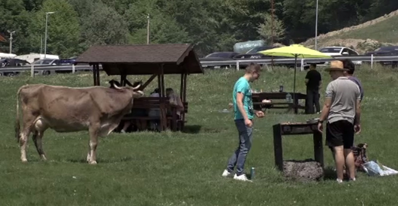 Românii au încins grătarele pe Valea Doftanei, de ziua Sfinților Împăraţi Constantin și Elena