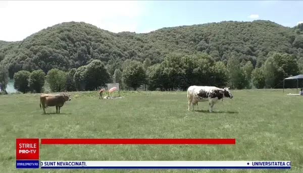 Românii au încins grătarele pe Valea Doftanei, de ziua Sfinților Împăraţi Constantin și Elena