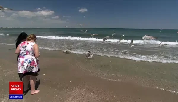 Turiștii dornici să se bucure de o zi întreagă la soare, au luat cu asalt plajele din Constanța