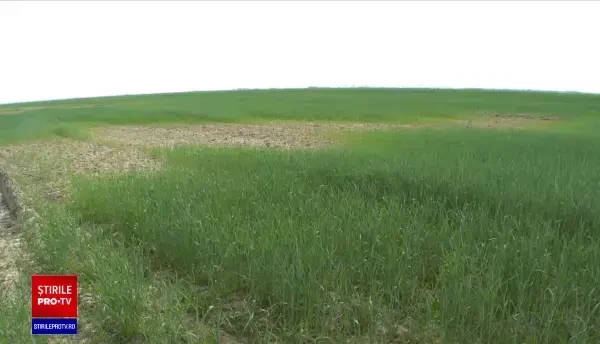 Cum ar putea România să aibă facturi mai mici la curent. Miliarde de euro vor fi investite