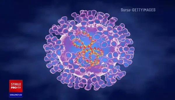 Două cazuri de persoane suspecte de variola maimuței s-au dovedit a fi alarme false