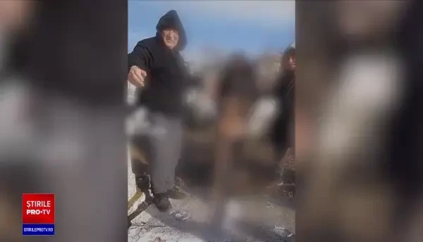 Ce riscă cei doi gropari care au deshumat rămășițele unei femei din cimitir pe muzică de petrecere