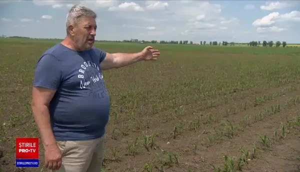 Probleme în agricultura din România în 2022, cel mai secetos an. Fermier: „Schimbările climatice și-au demonstrat fața”