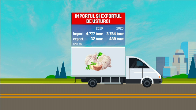 Programul „Usturoiul”, un adevărat succes. Importurile au scăzut cu o mie de tone