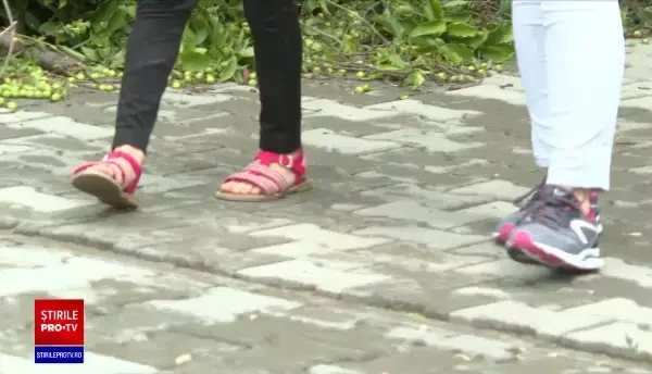 Un copac s-a prăbușit peste trei fetițe, în Timișoara. Părinții dau vina pe primărie