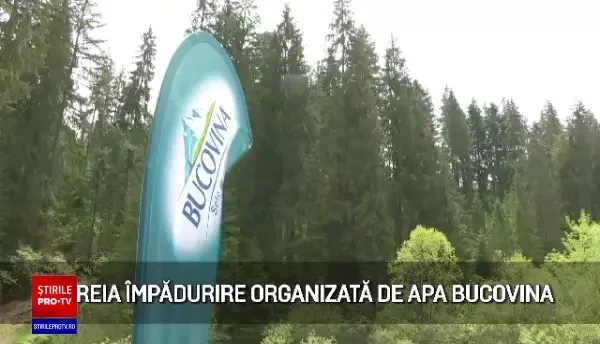(P) Maspex Romania, prin brandul de apă Bucovina, a organizat cea de-a 3-a acțiune de împădurire