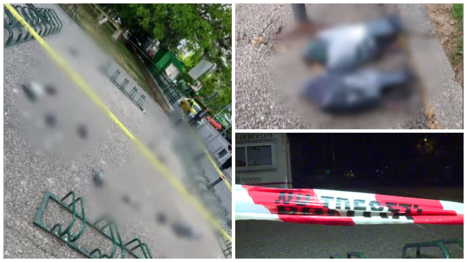 Zeci de păsări moarte pe aleile unui parc din Capitală, lângă spațiile de joacă pentru copii. Oamenii, îngroziți