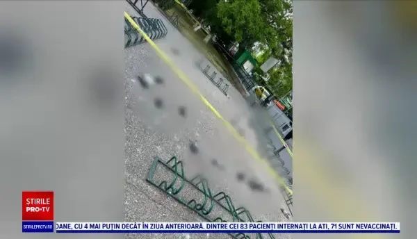 Zeci de păsări moarte pe aleile unui parc din Capitală, lângă spațiile de joacă pentru copii. Oamenii, îngroziți