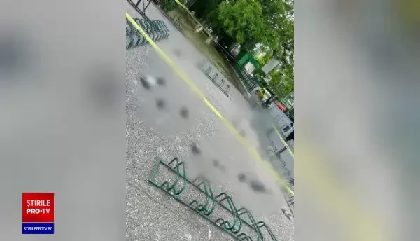 Zeci de păsări moarte pe aleile unui parc din Capitală, lângă spațiile de joacă pentru copii. Oamenii, îngroziți