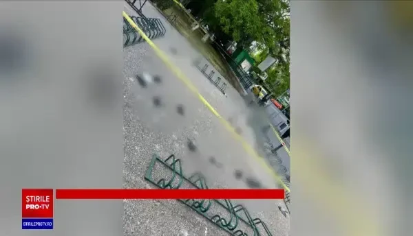 Anchete după ce zeci de porumbei au fost găsiți morți în Sectorul 6 din Capitală. Ce este boala aripilor de îngeri