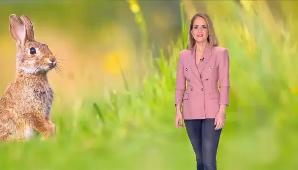 Întrebările corect adresate unui copil sau unui adolescent le construiesc tânăra minte. Iată de ce