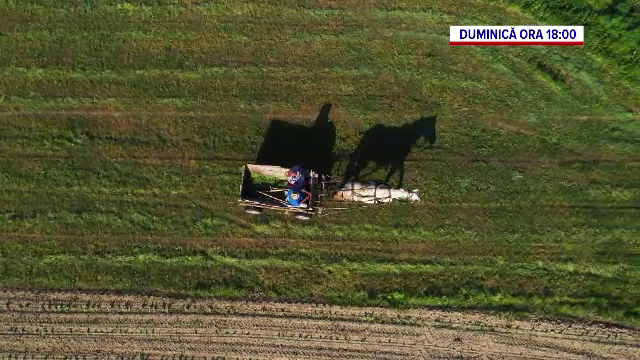 În ce măsură își poate hrăni statul român propriul popor în cazul unei crize alimentare