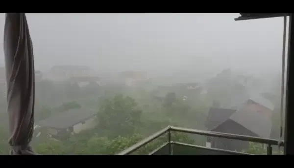 29 de copaci au căzut pe carosabil și pe mașini, în București. Mai mulți stâlpi au fost doborâți de vânt