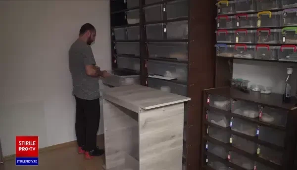 Reguli noi pentru deținătorii animalelor exotice. Ce putem ține în casă: “Dacă ar scăpa anaconda, ar fi un mare pericol”