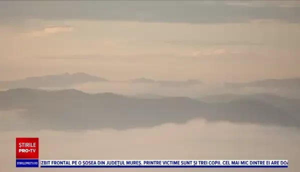 Românii care produc țuică și pălincă ar putea primi finanțare de la Guvern. O sticlă de pălincă poate costa și 2.000 de euro