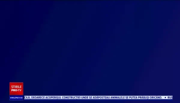 Cum ne protejăm economiile de inflație. Titlurile de stat, printre cele mai sigure investiții