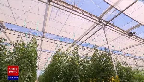 Instalațiile care produc biomasă și biogaz, tot mai căutate de când prețurile din energie au explodat