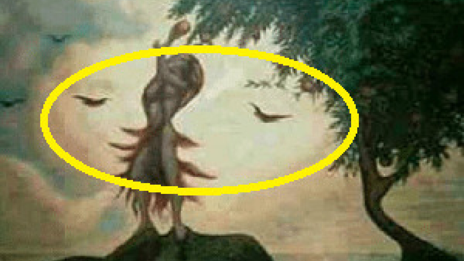 iluzie optica chipuri - 2