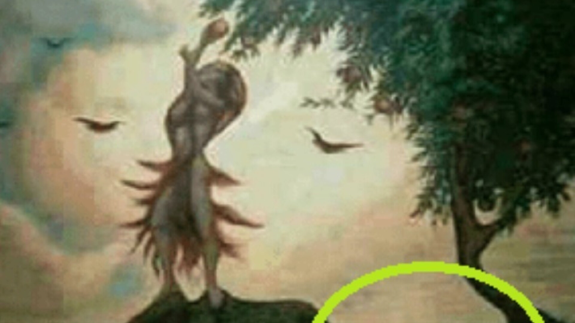 iluzie optica chipuri - 3