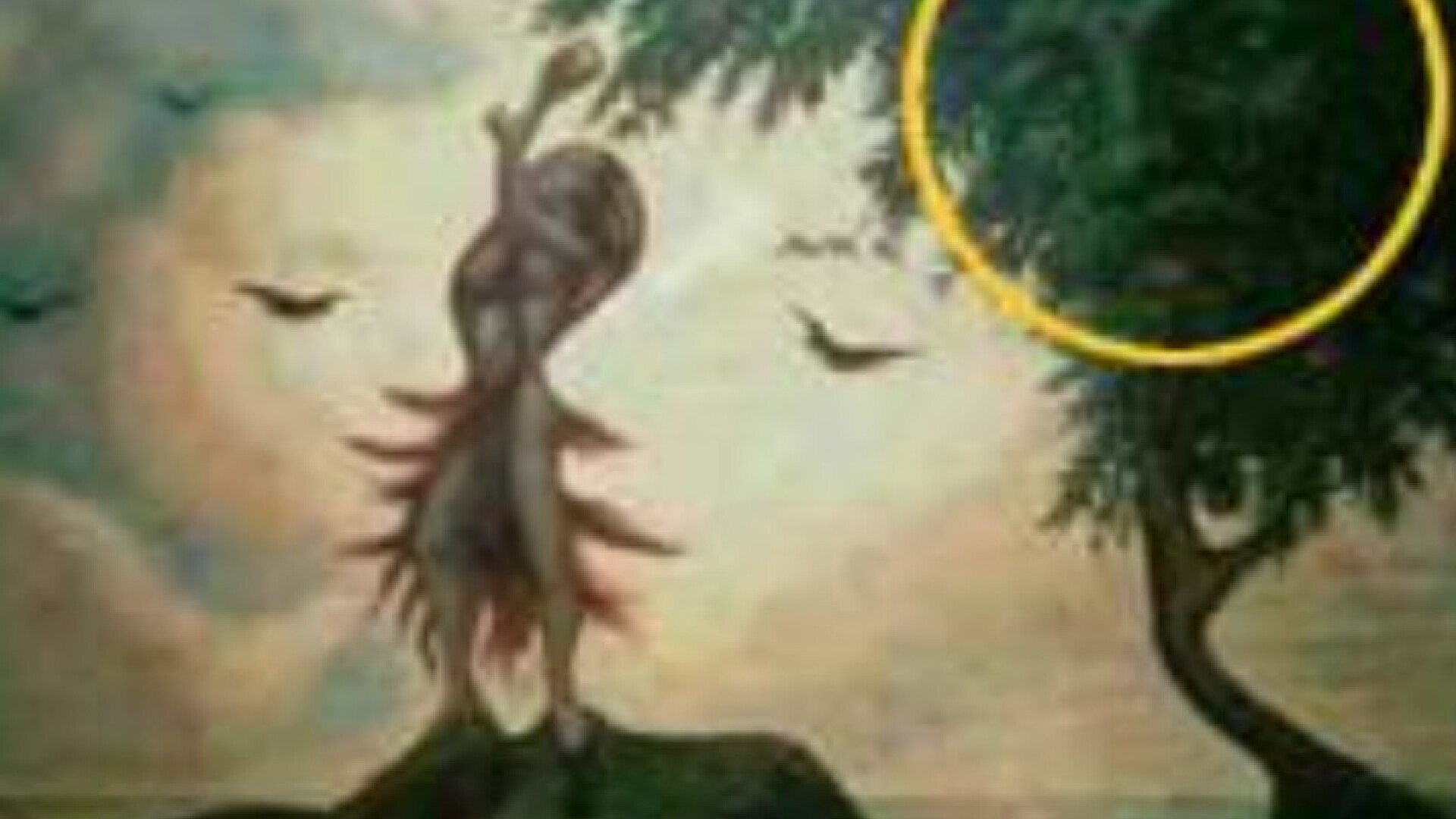 iluzie optica chipuri - 4