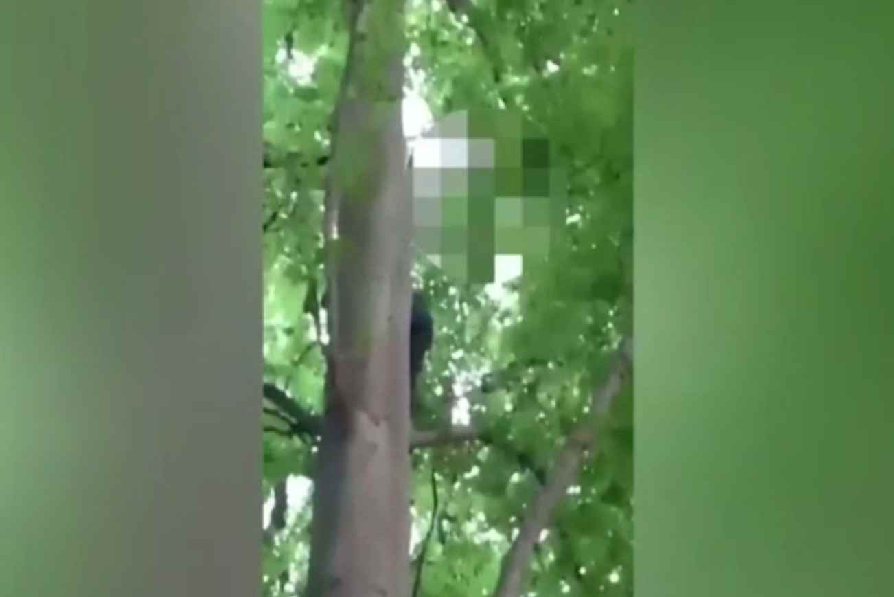 Un bărbat din Curtea de Argeș s-a sinucis de față cu salvatorii. Își teroriza soția de câțiva ani