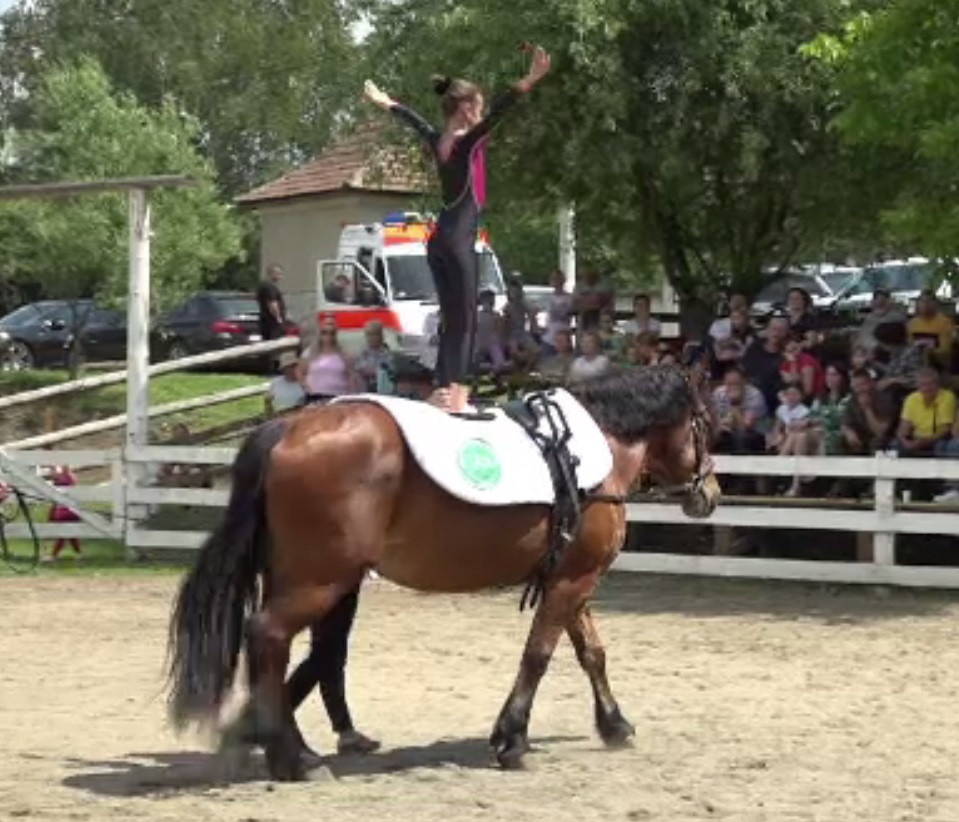 Peste 130 de copii și-au testat abilitățile într-un concurs de echitație, în județul Alba